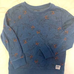 Blue pullover sweat shirts with dinos.